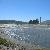 Tidal Marsh
